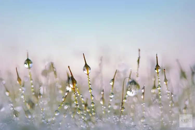 Temperatuur gaat even omhoog, maar later in de week weer kou met winterse neerslag